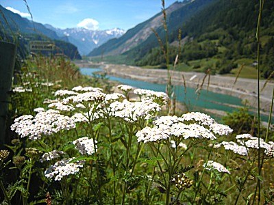 Visita ai lavori in VAL POLA 