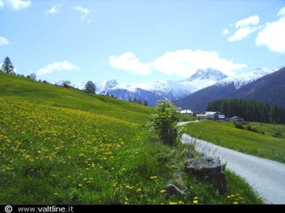 Strada GIARSUN - ARDEZ: GUARDA dice no al progetto