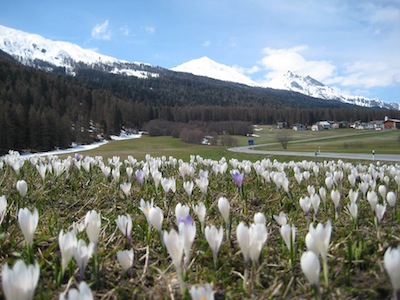 DI DA LA CUNTRADA in Val Mstair  