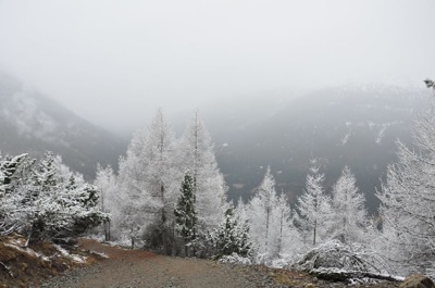 Ultimi squarci di inverno in VALFURVA