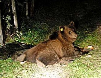 Rispettare la MONTAGNA  e chi LA VIVE 