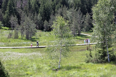 VALTELLINA: la primavera da vivere  qui!  