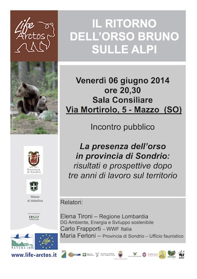 Orso bruno: incontro informativo a MAZZO di VALTELLINA