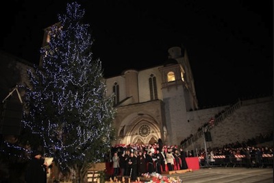 L’abete della VALGEROLA che illumina ASSISI