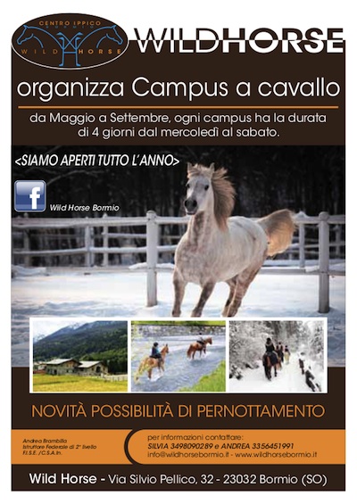 Nel Parco Nazionale dello STELVIO a CAVALLO