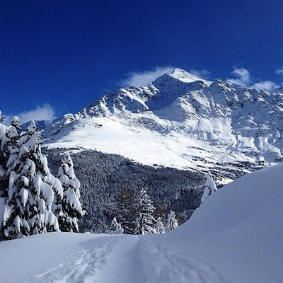 La neve  caduta copiosa in VALTELLINA