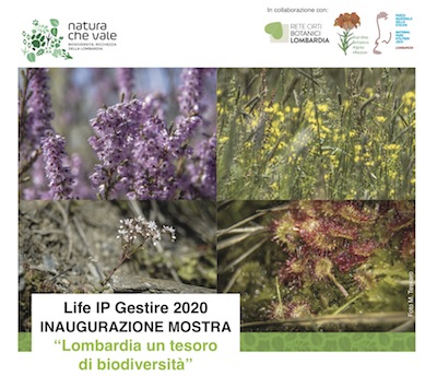 A BORMIO un tesoro di biodiversita