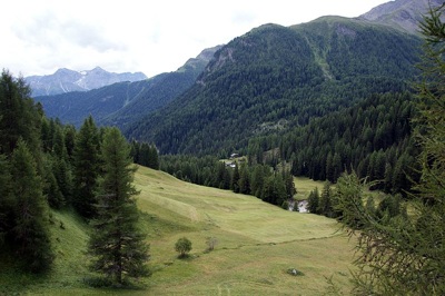 RAMOSCH VNA': la VAL SINESTRA  Landschaft des Jahres 2011