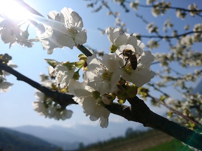 La magnificenza della NATURA