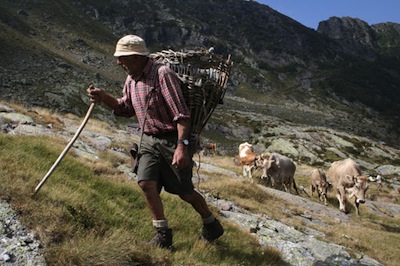 OROBIE: una montagna di  alpeggi e di formaggi