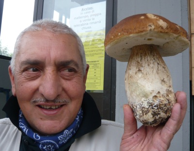 Spuntano i funghi nei boschi e ad Aprica anche un concorso!