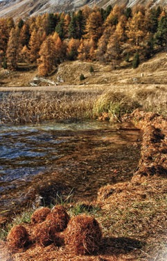 A  SILS torna la magia delle SILSERKUGELN