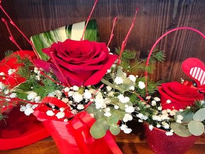 Inizia il tuo viaggio sensoriale nel cuore verde delle Alpi