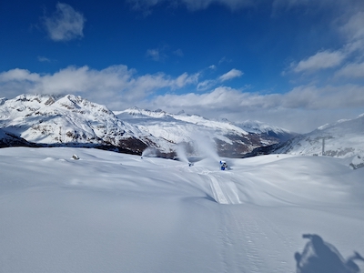 Nuova NEVE