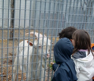 I bambini di Grosio in visita alla FIORIDA di Mantello