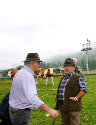 I campetti di APRICA ospitano la fiera del bestiame