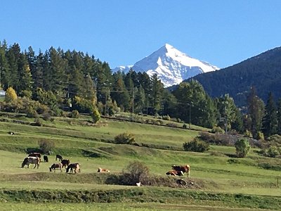 Quando si parla di MONTAGNA