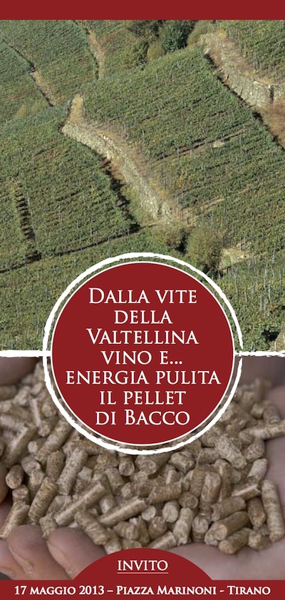 Dalla vite della VALTELLINA vino e... energia pulita