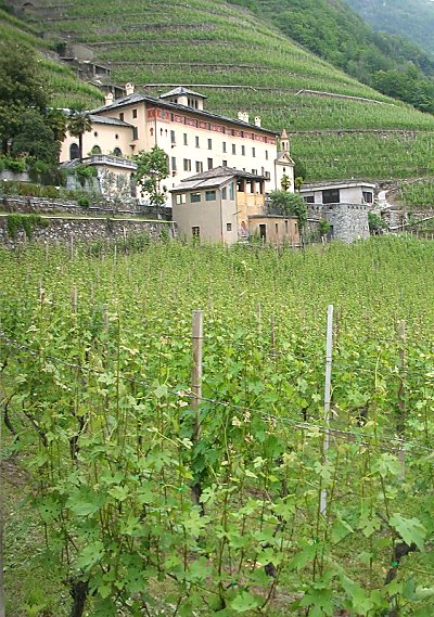 I migliori VINI della Valtellina si degustano a BORMIO