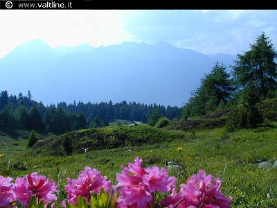 Giro dItalia: Maglia Rosa a Basso nella Brescia - Aprica