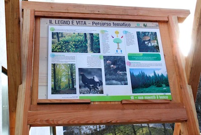 APRICA valorizza IL PERCORSO DEL LEGNO