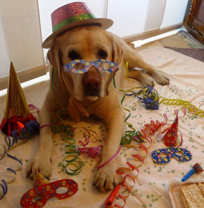 LA FOTO DEL GIORNO:  carnevale!