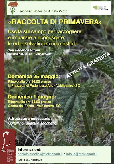 VALDIDENTRO e la 