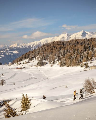 TRIVIGNO, le ciaspole, lo sci e le motoslitte