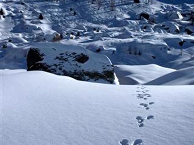 EMOZIONI D’INVERNO: trakking in Valgerola con le Guide