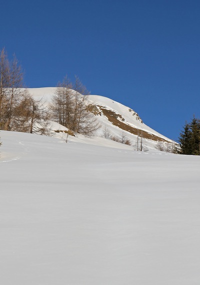 APRICA, TRIVIGNO... Monte Padrio con le ciaspole