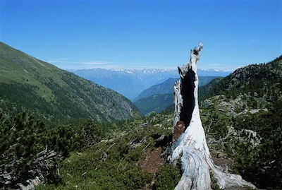 Leconomia rurale della VALGEROLA 