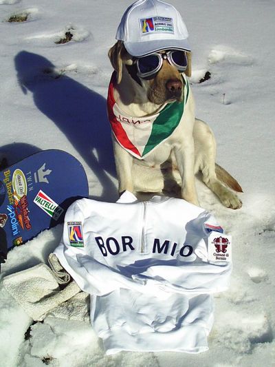 LA FOTO DEL GIORNO: CLEO A BORMIO