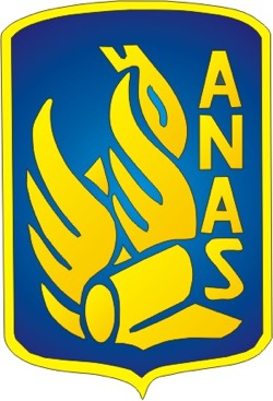 ANAS: lavori di messa in sicurezza nelle gallerie STATALE 38