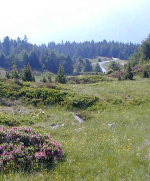 Aprica protagonista del GIRO D'ITALIA 2010