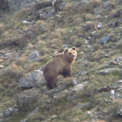 LORSO in provincia di Sondrio