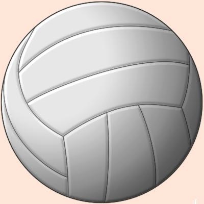 Il Leibniz di Bormio si aggiudica i provinciali di Volley