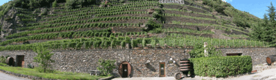 La Cantina AR.PE.PE al vertice dell’enologia nazionale