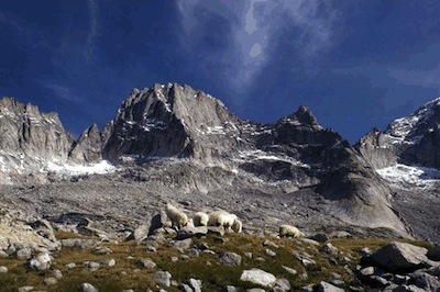 VALMASINO in sicurezza  