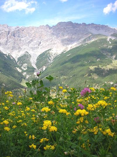 CHE FASCINO QUESTA NATURA !