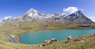 LAGO BIANCO, una perla del GAVIA 